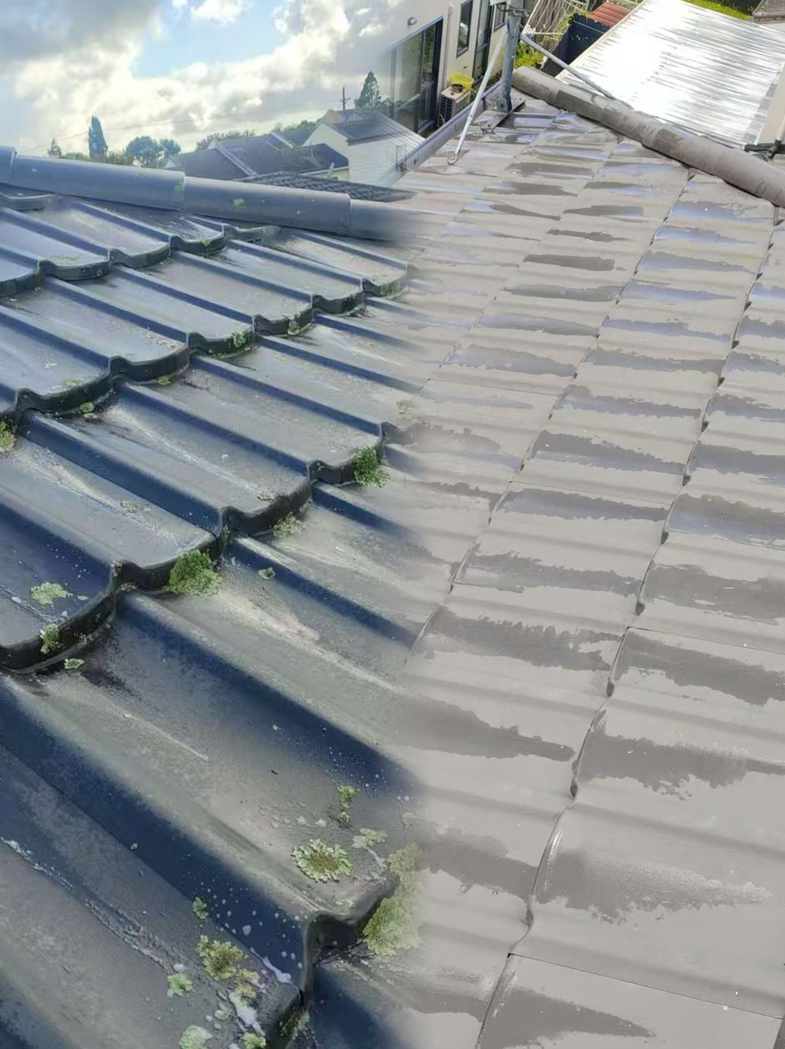 Roof Painting